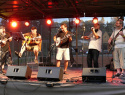 Festival muzikantů 2015.jpg