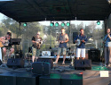 Festival muzikantů 2016.jpg